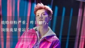 小何娱乐吃瓜,揭秘娱乐圈最新吃瓜事件