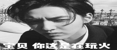 娱乐吃瓜搞笑剪辑文案怎么写,带你领略明星们的欢乐瞬间