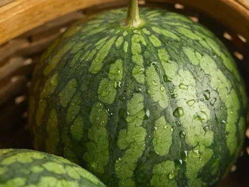 哈皮娱乐吃瓜,揭秘娱乐圈最新“吃瓜”事件