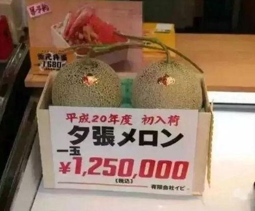 娱乐是个圈吃瓜群众散,吃瓜群众散生记